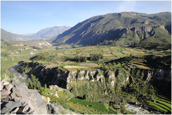 Colca-Canyon