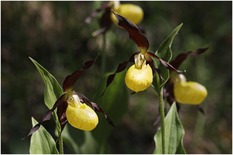 Die Makro-Saison 2023