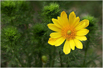 Die Makro-Saison 2024