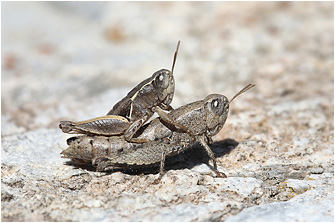 Urlaub in der T�rkei